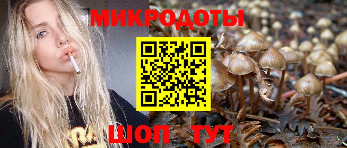 Галлюциногенные грибы MAGIC MUSHROOMS Тихорецк